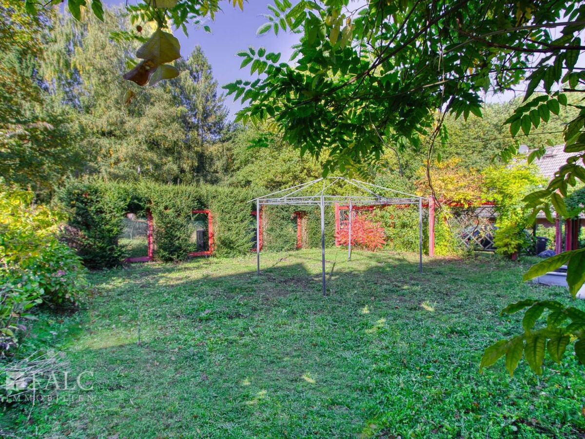 Garten mit Ausblick Richtung Wald 
