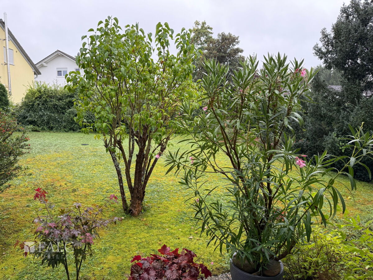 Blick in Garten