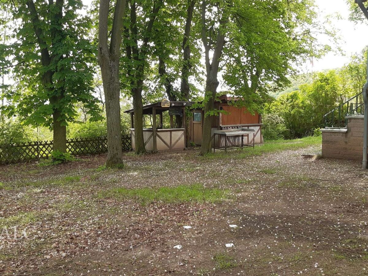 Biergarten