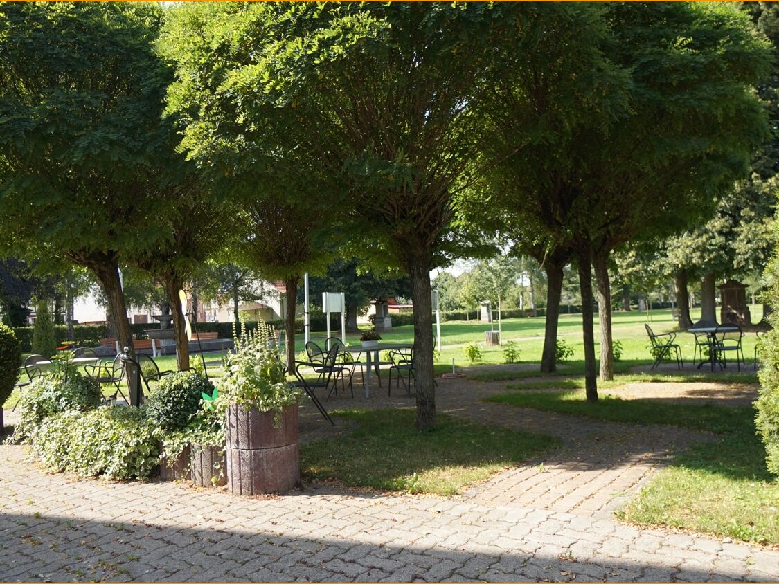 Blick in den Garten
