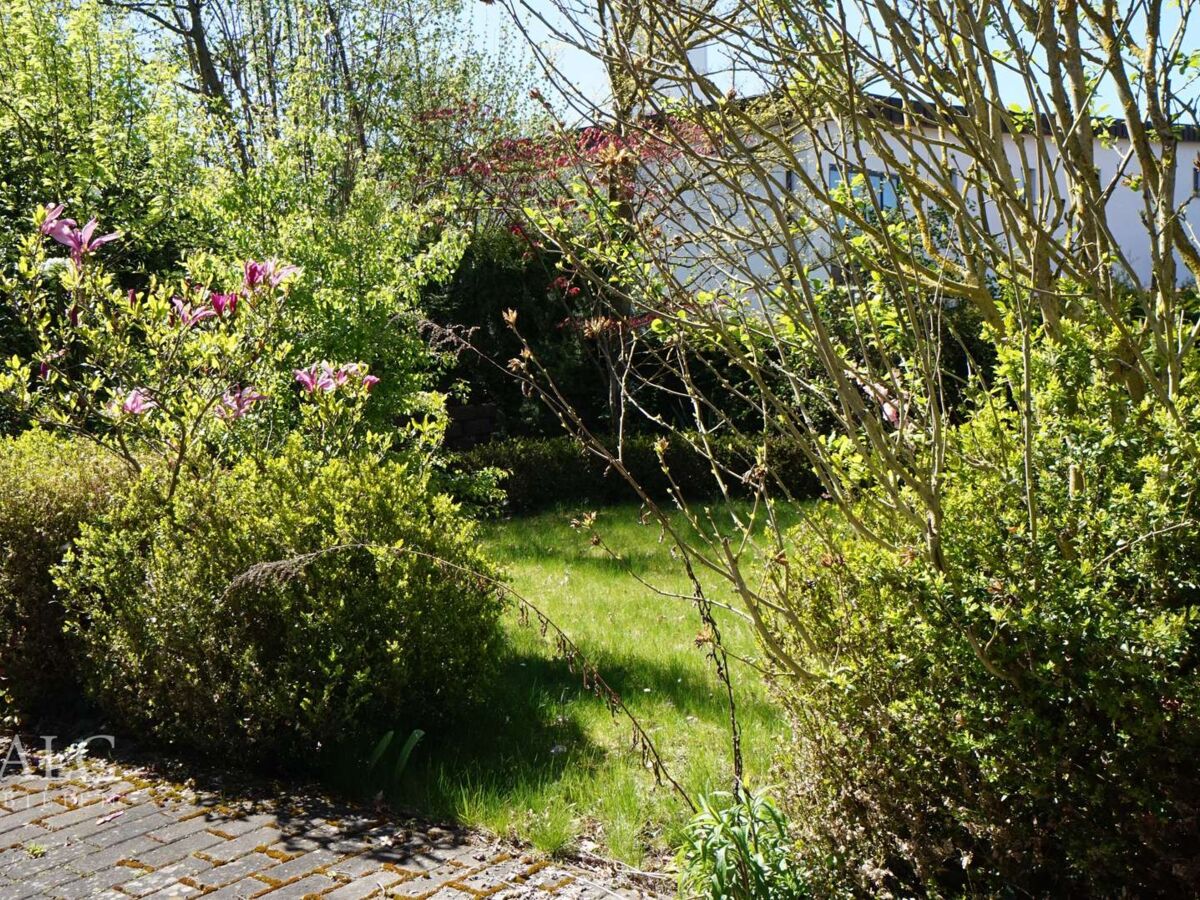 Garten im hinterem Bereich