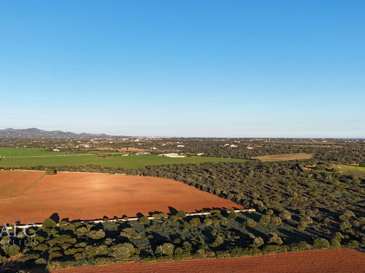 Weitblick Ses Salines