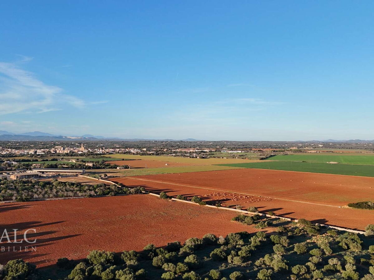 Weitblick Ses Salines