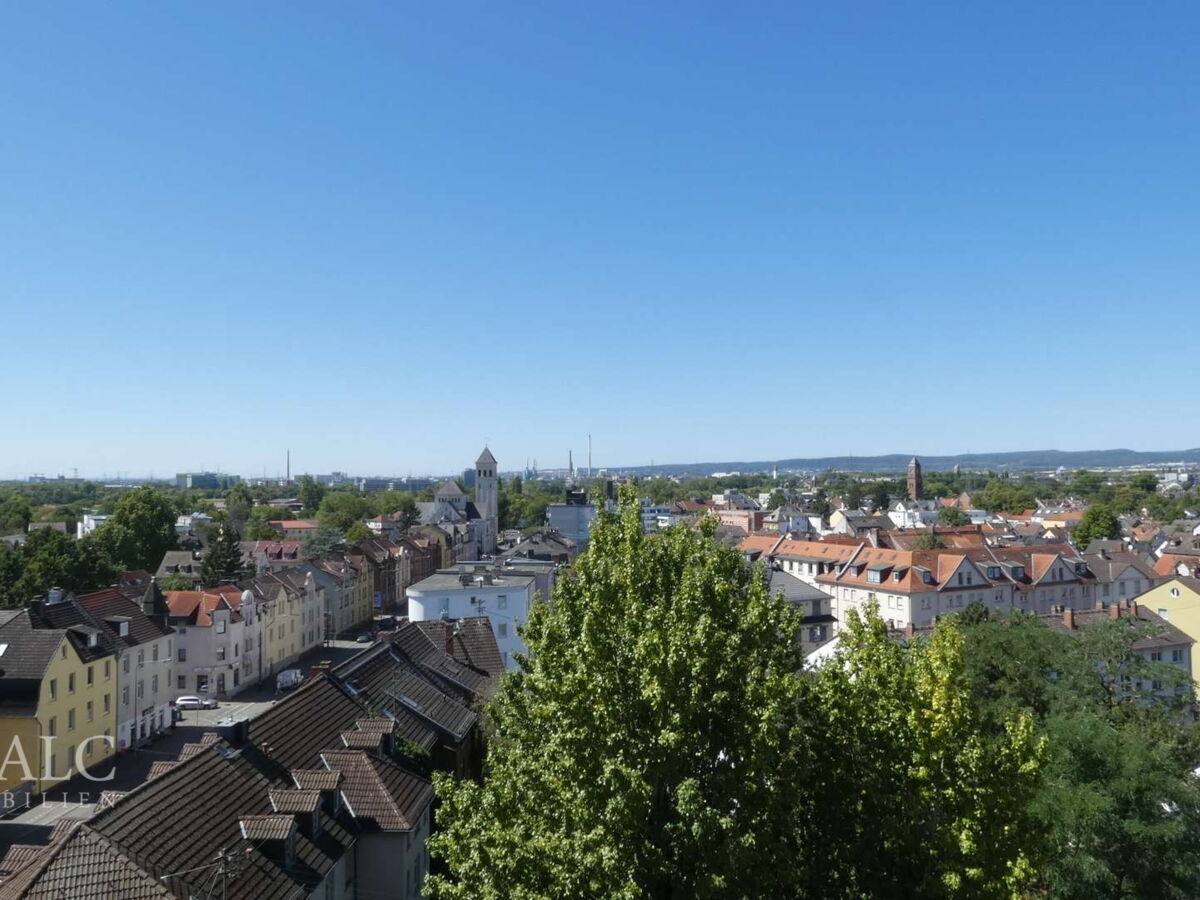 Blick über Alt-Nied
