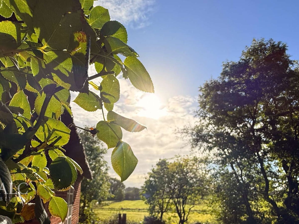 21. Garten rechte Seite