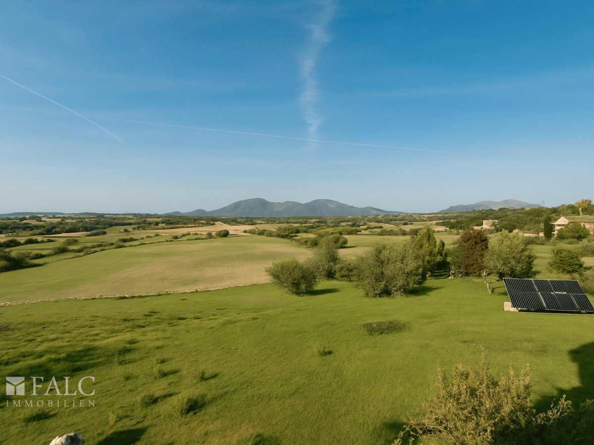 Fernblick