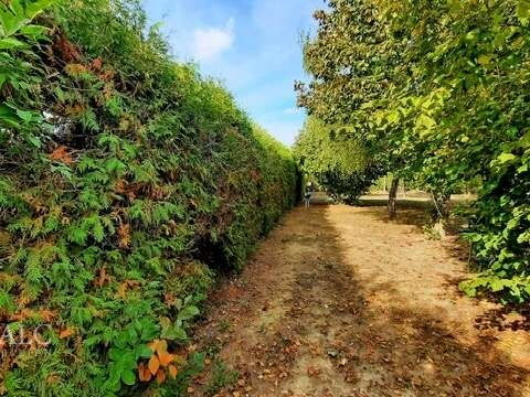 Gartenweg