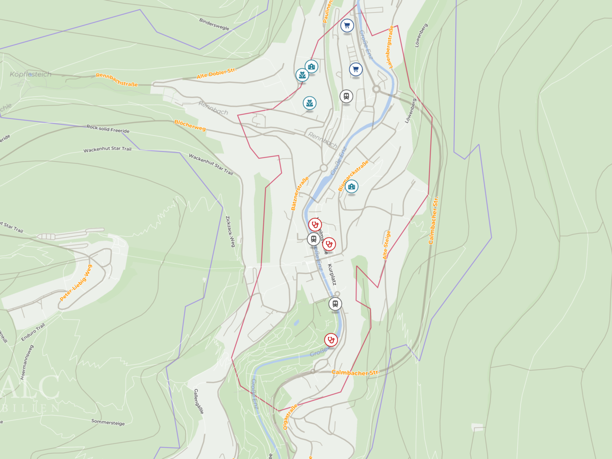 Site plan (micro)