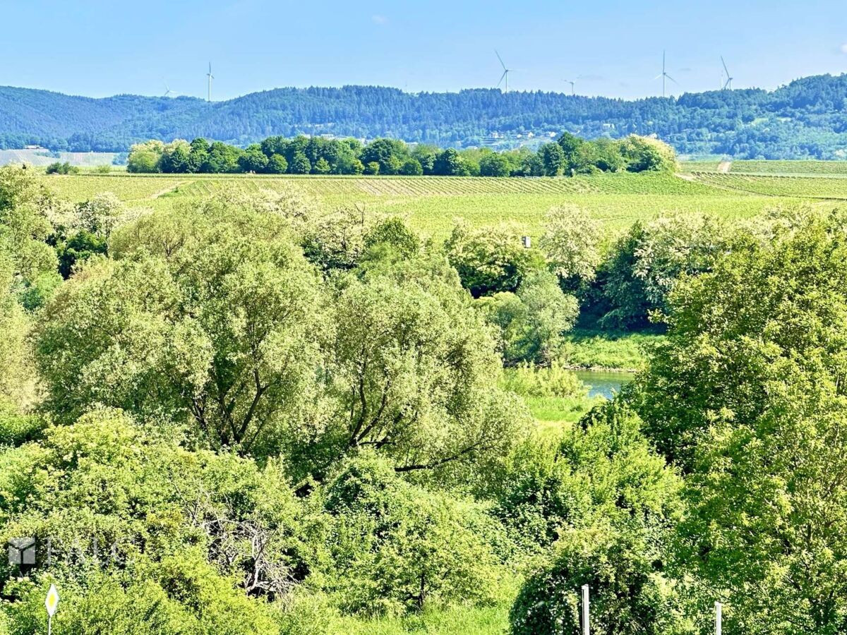 Aussicht