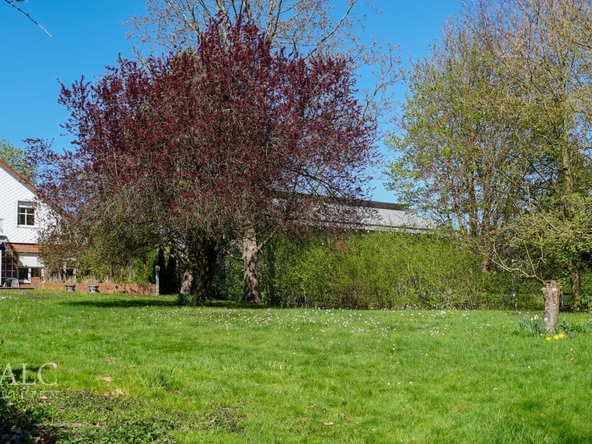 Gartenansicht 