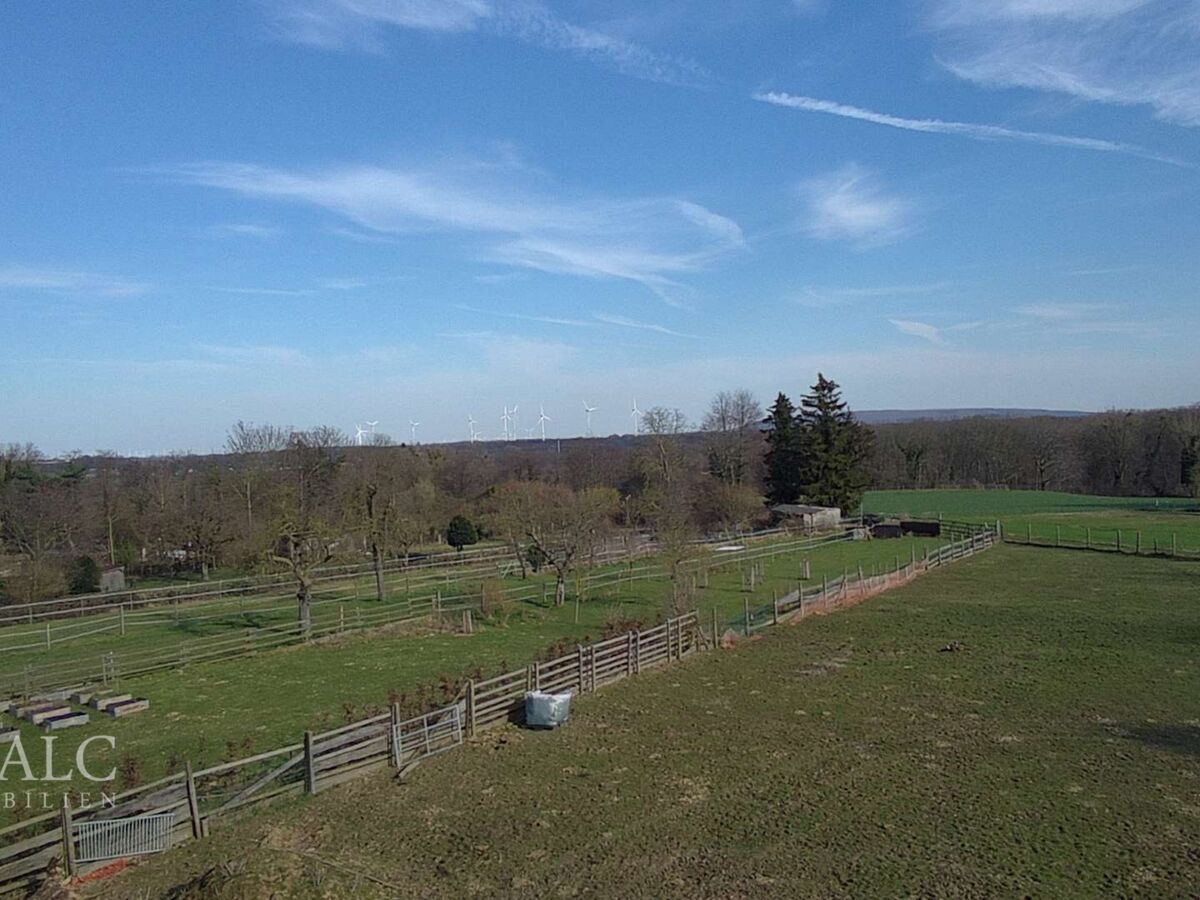Weitblick