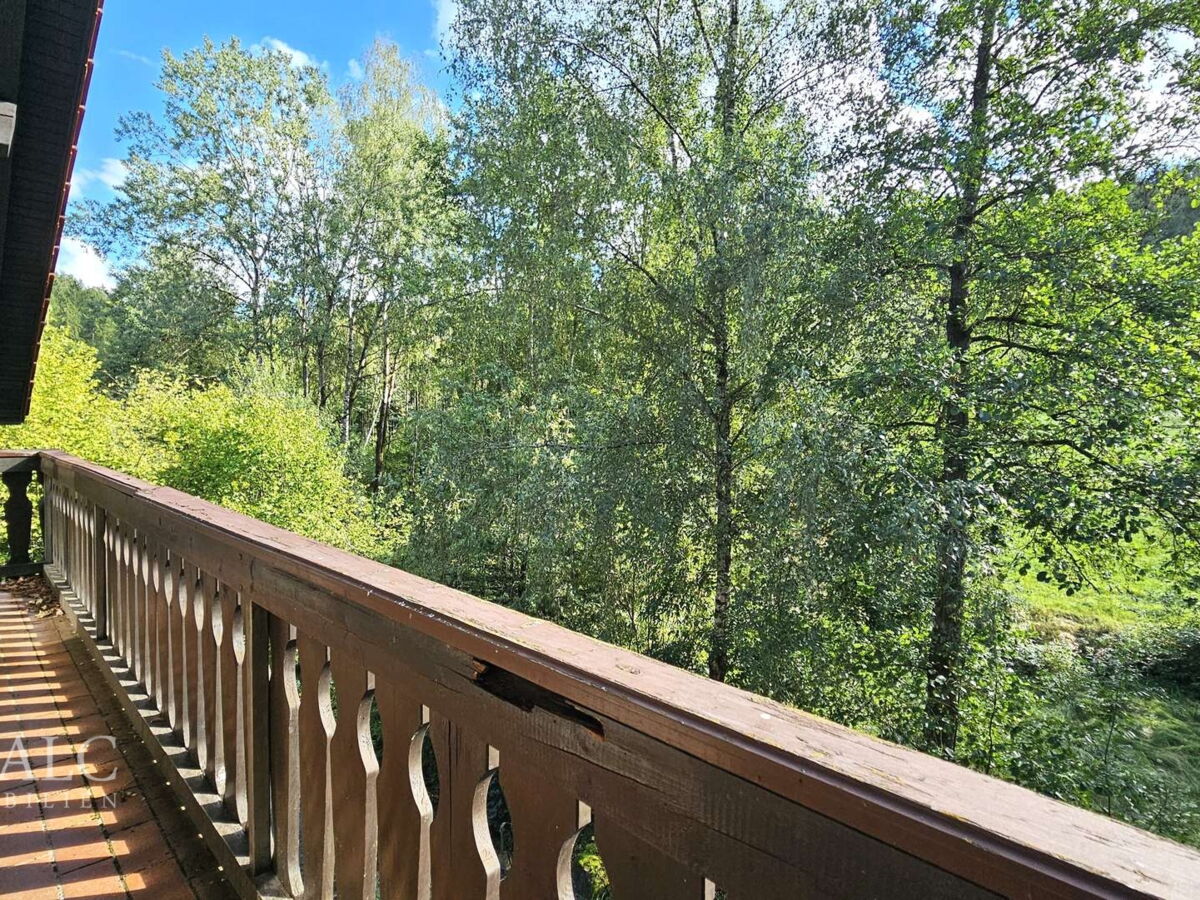 Balkon mit Waldblick OG