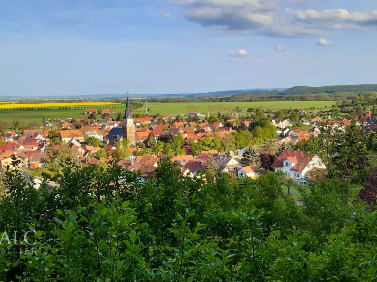 Ausblick