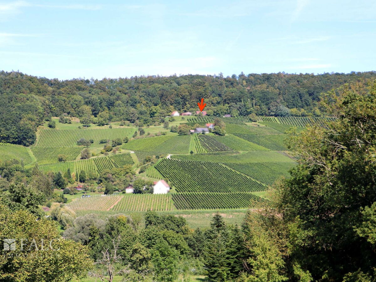 Mitten in den Weinbergen 