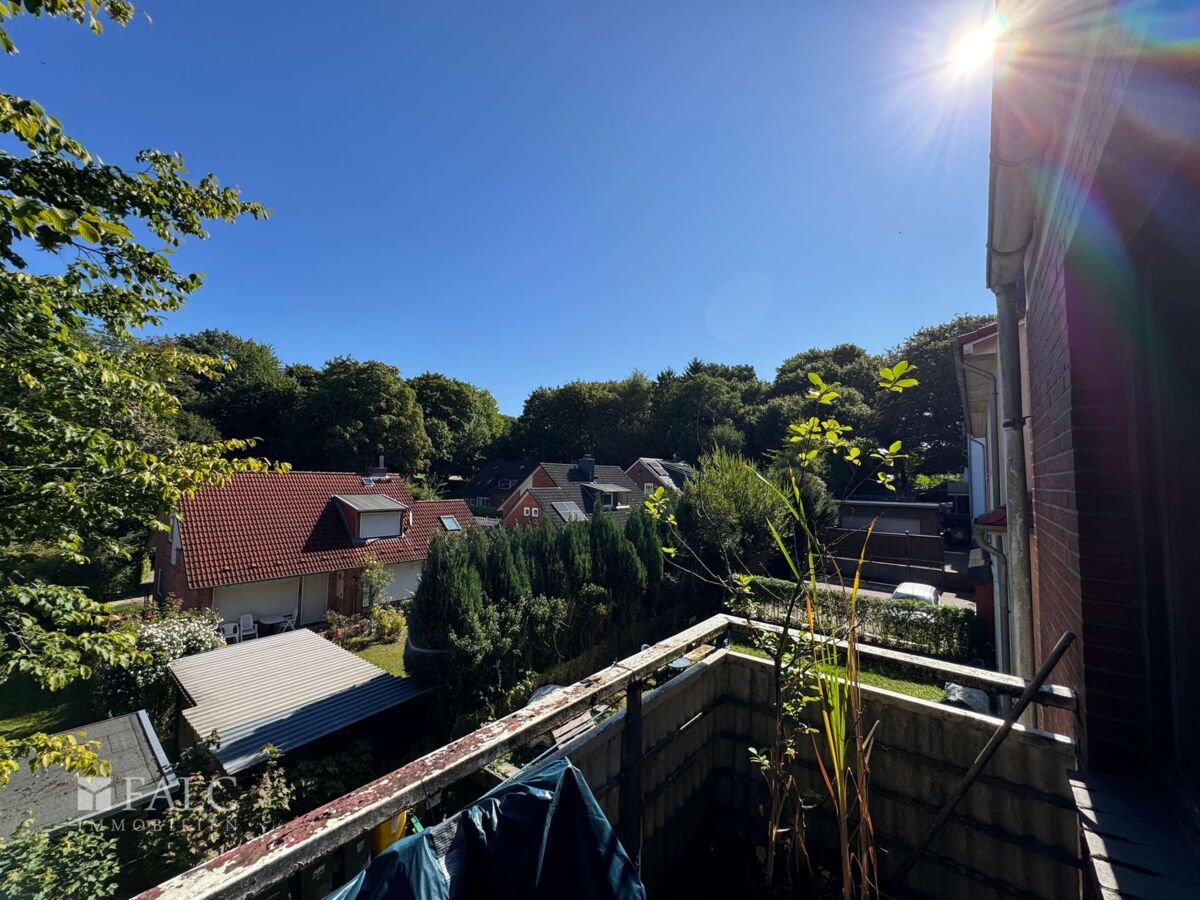 Ausblick