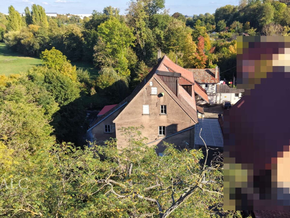 Von Grün umgeben