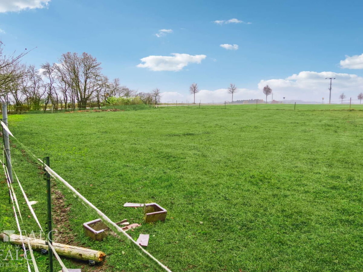 Wiese ca. 2000 m², eingezäunt