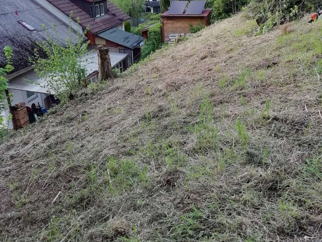 Foto aus April 2025