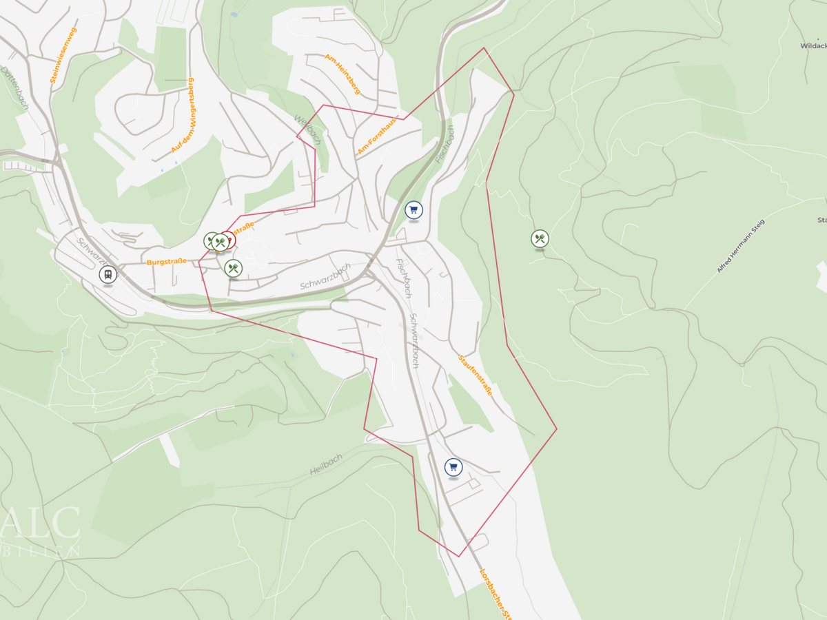 Site plan (micro)
