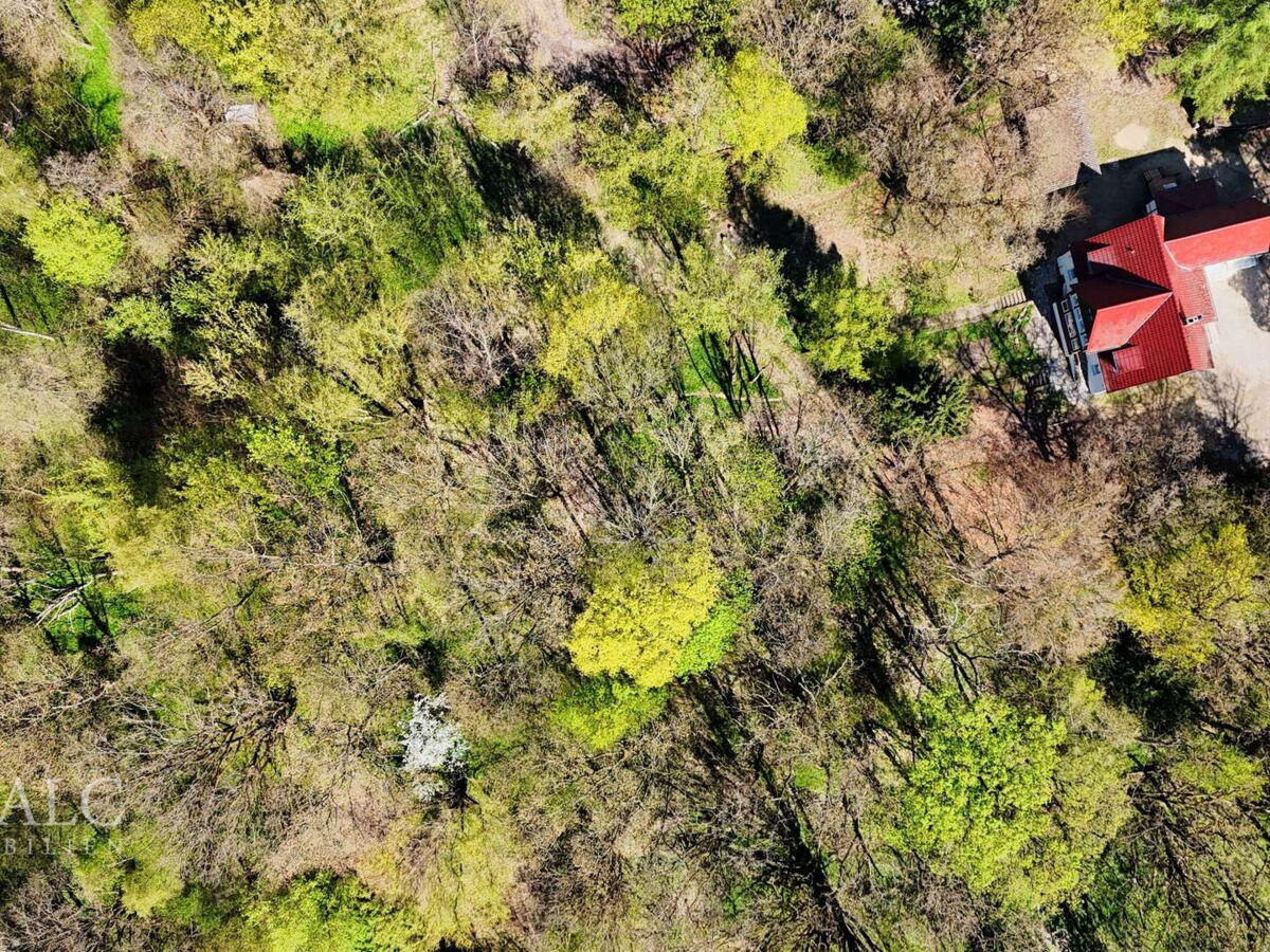 Grundstück und Wald aus  Vogelperspektive_in