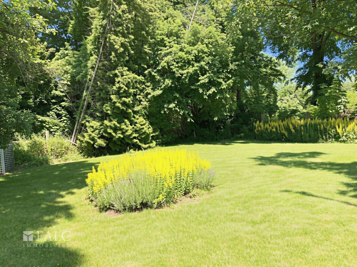 Garten 1