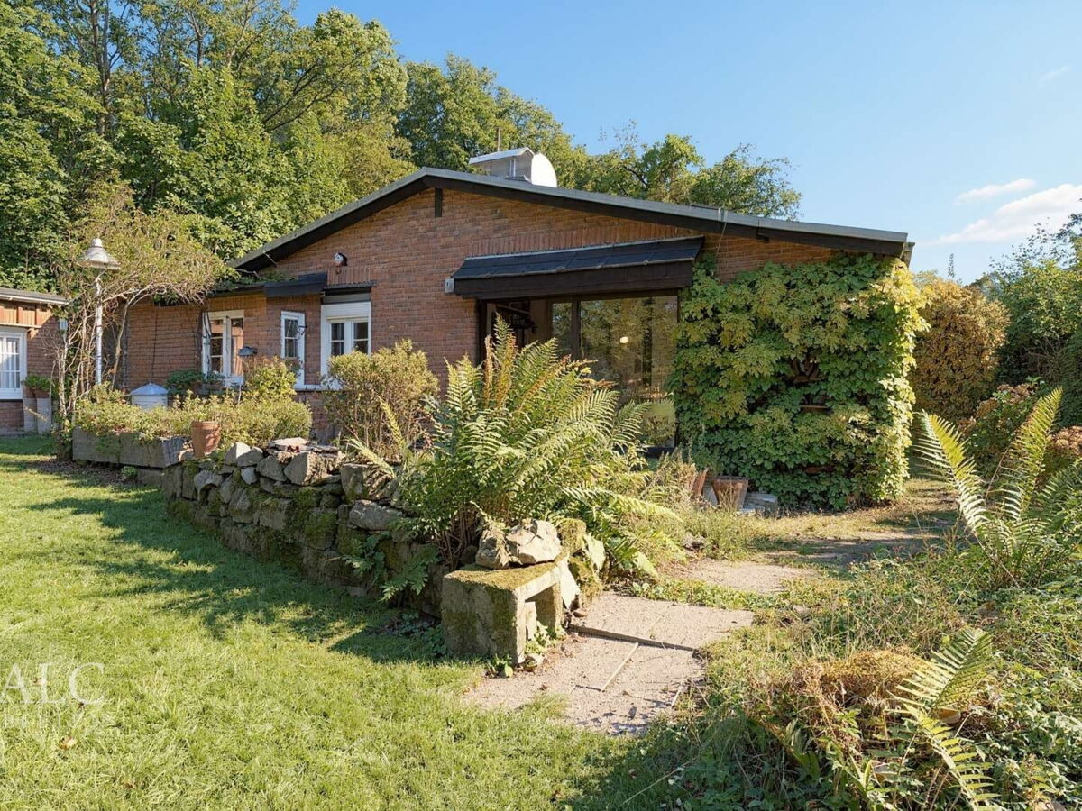 Garten Rückansicht  - (KI generiert)