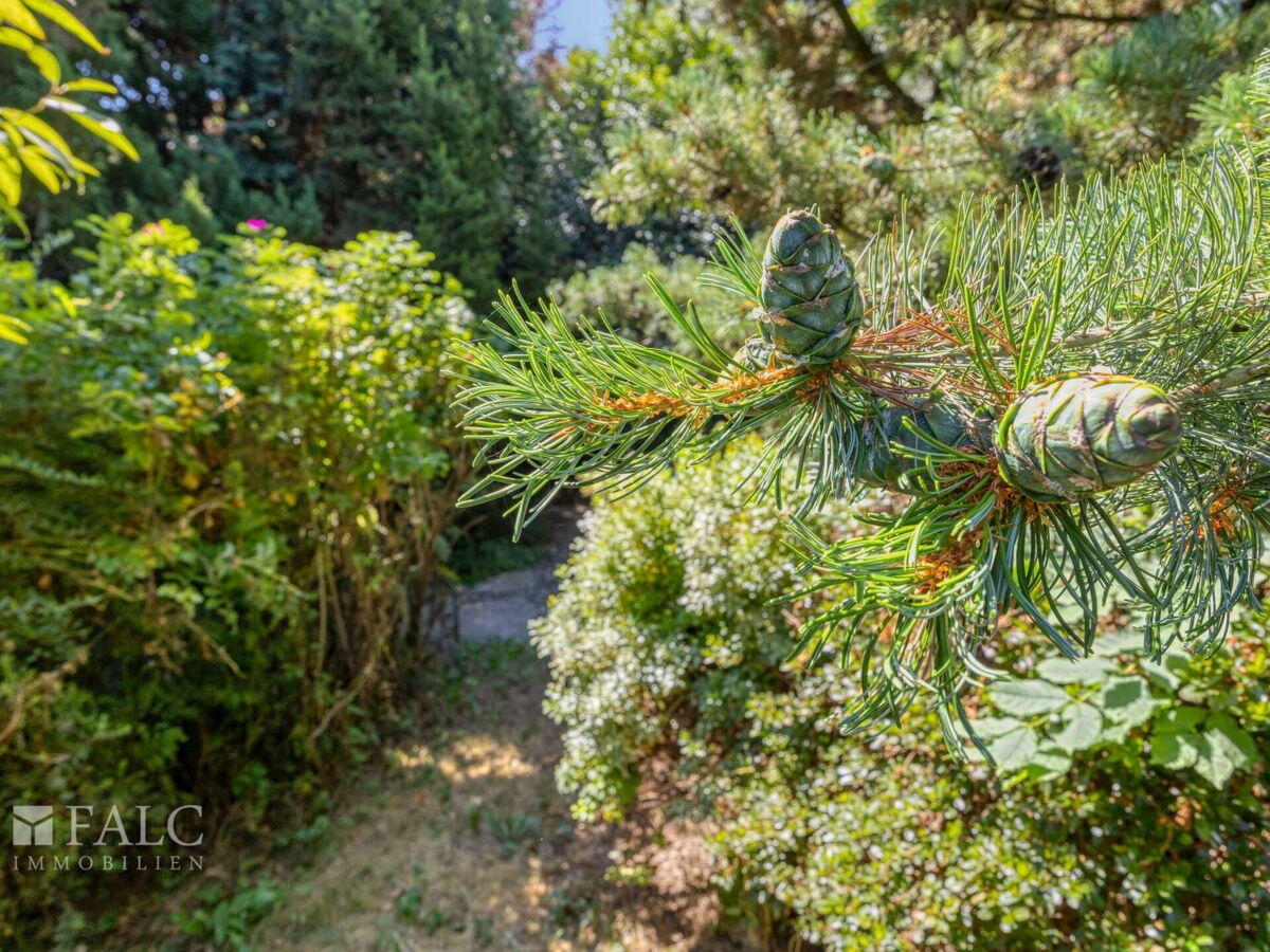 Grüner Garten