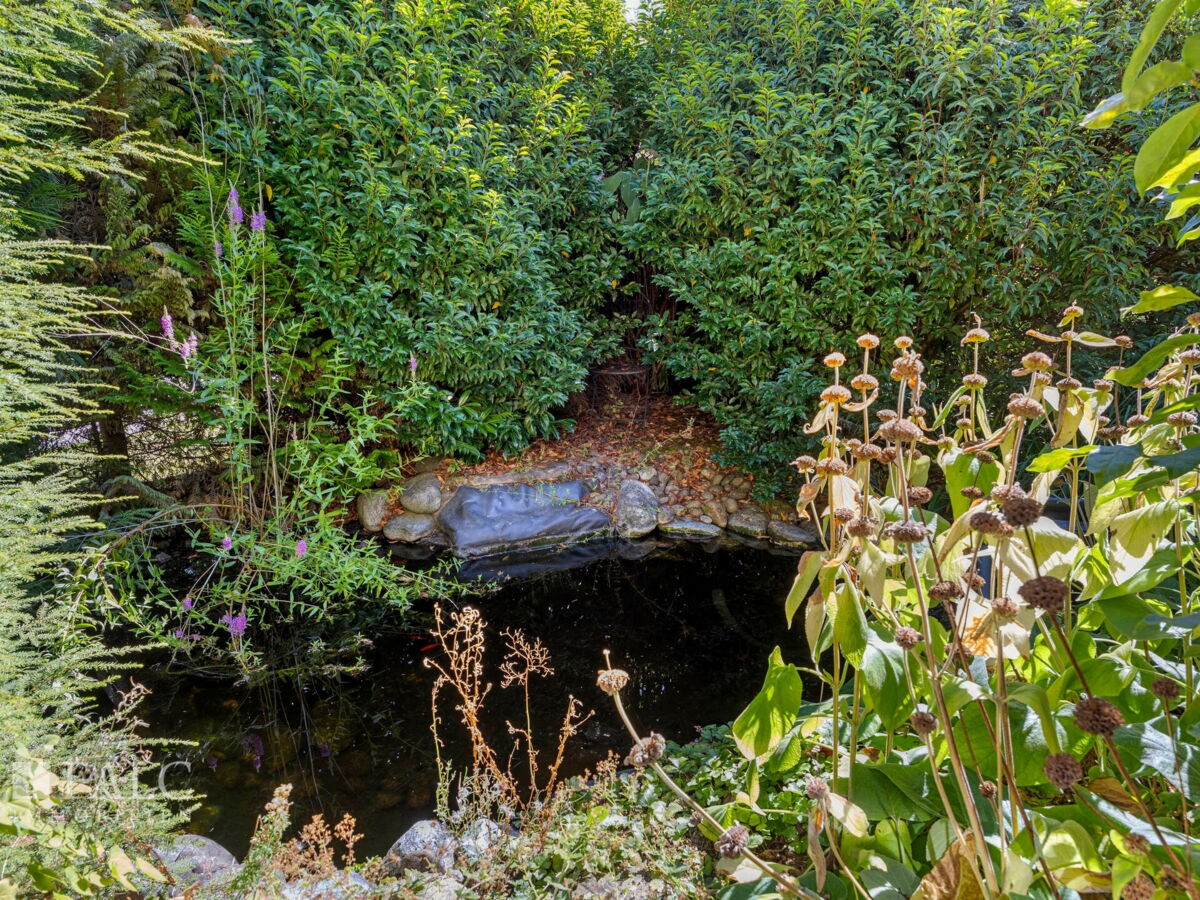 kleiner Teich