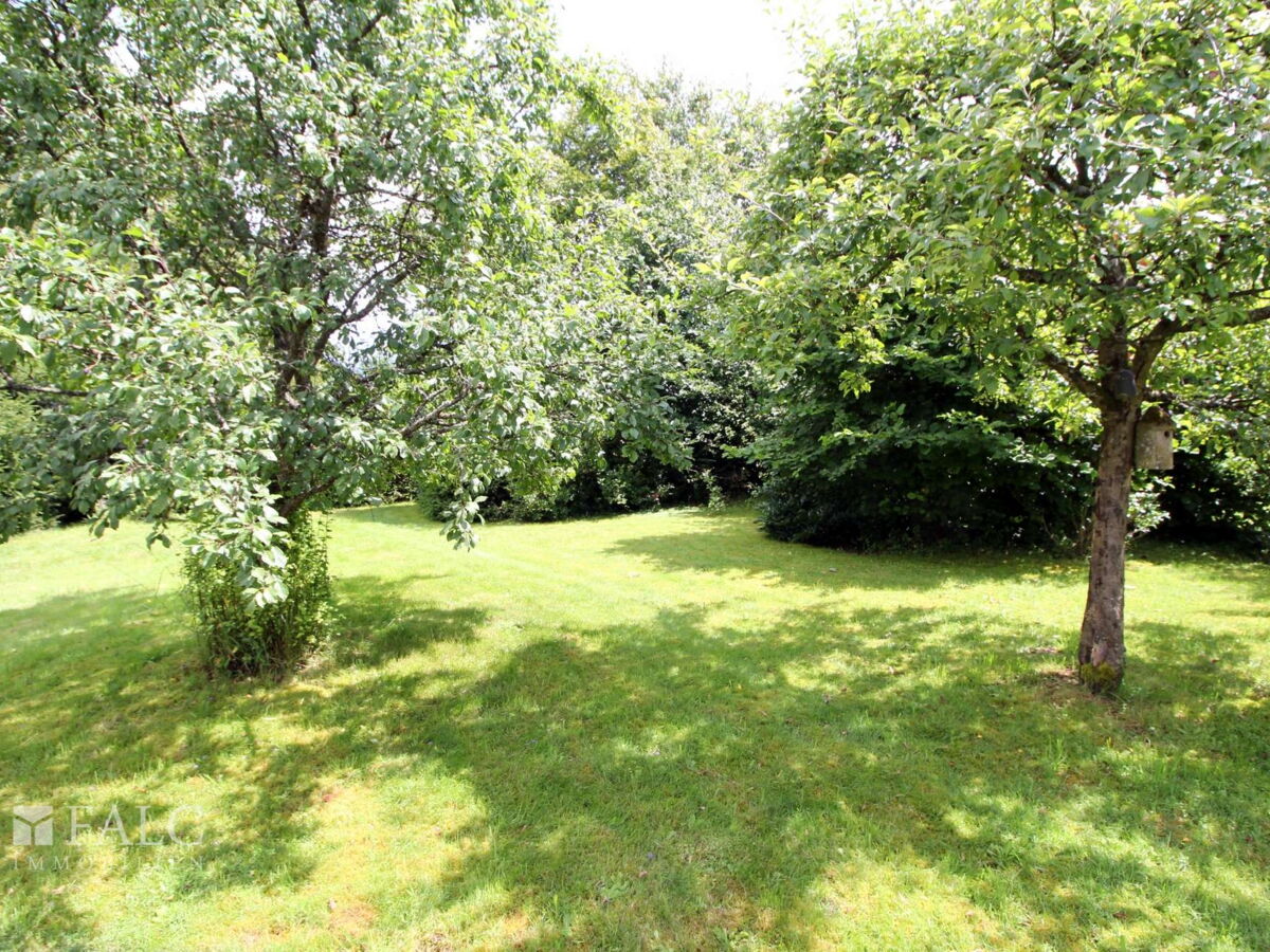 Garten ( mit KI optimiert)