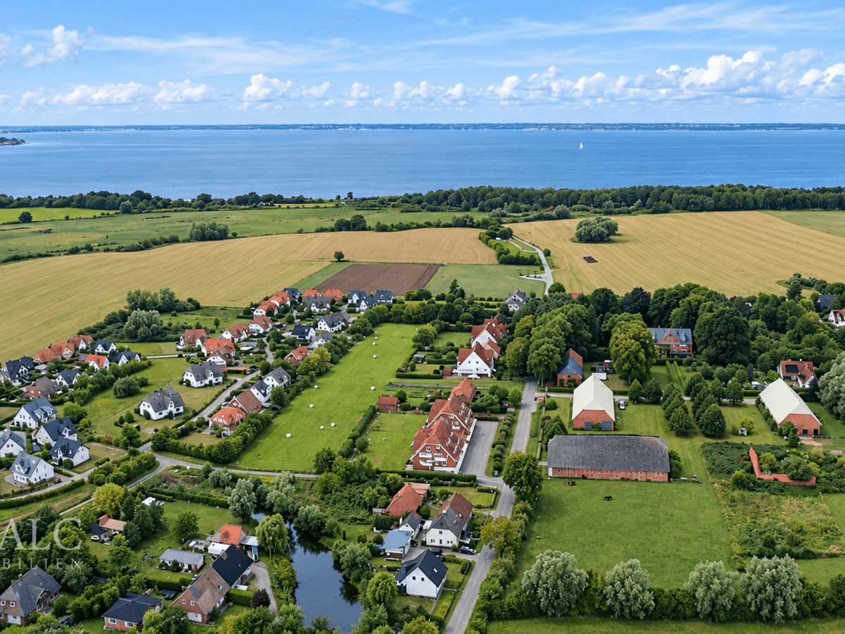 Drohne Ferne