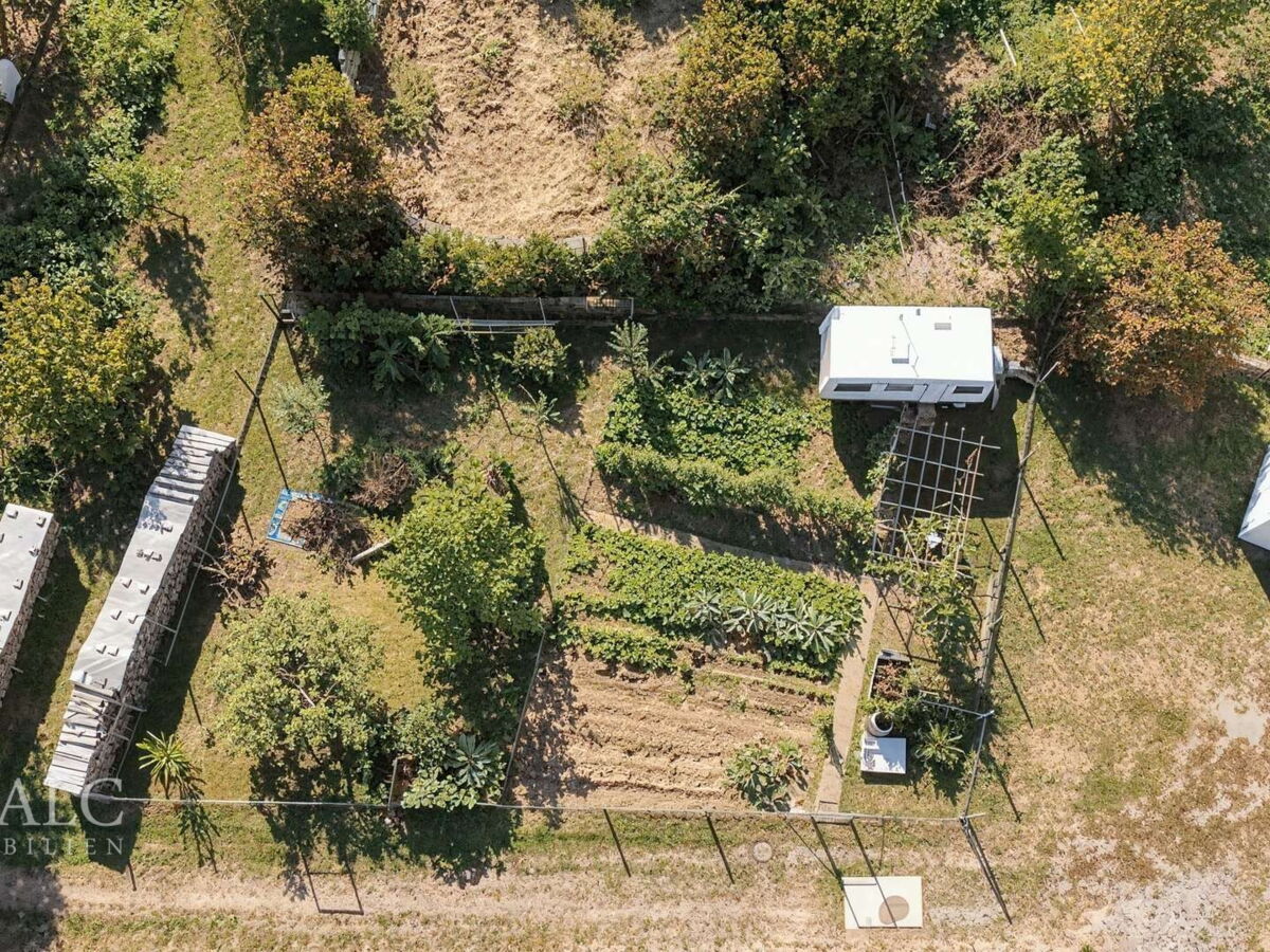 Garten von oben