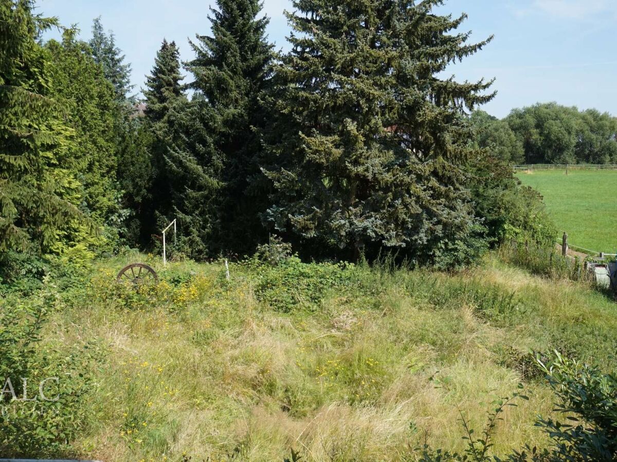 Blick in den Garten