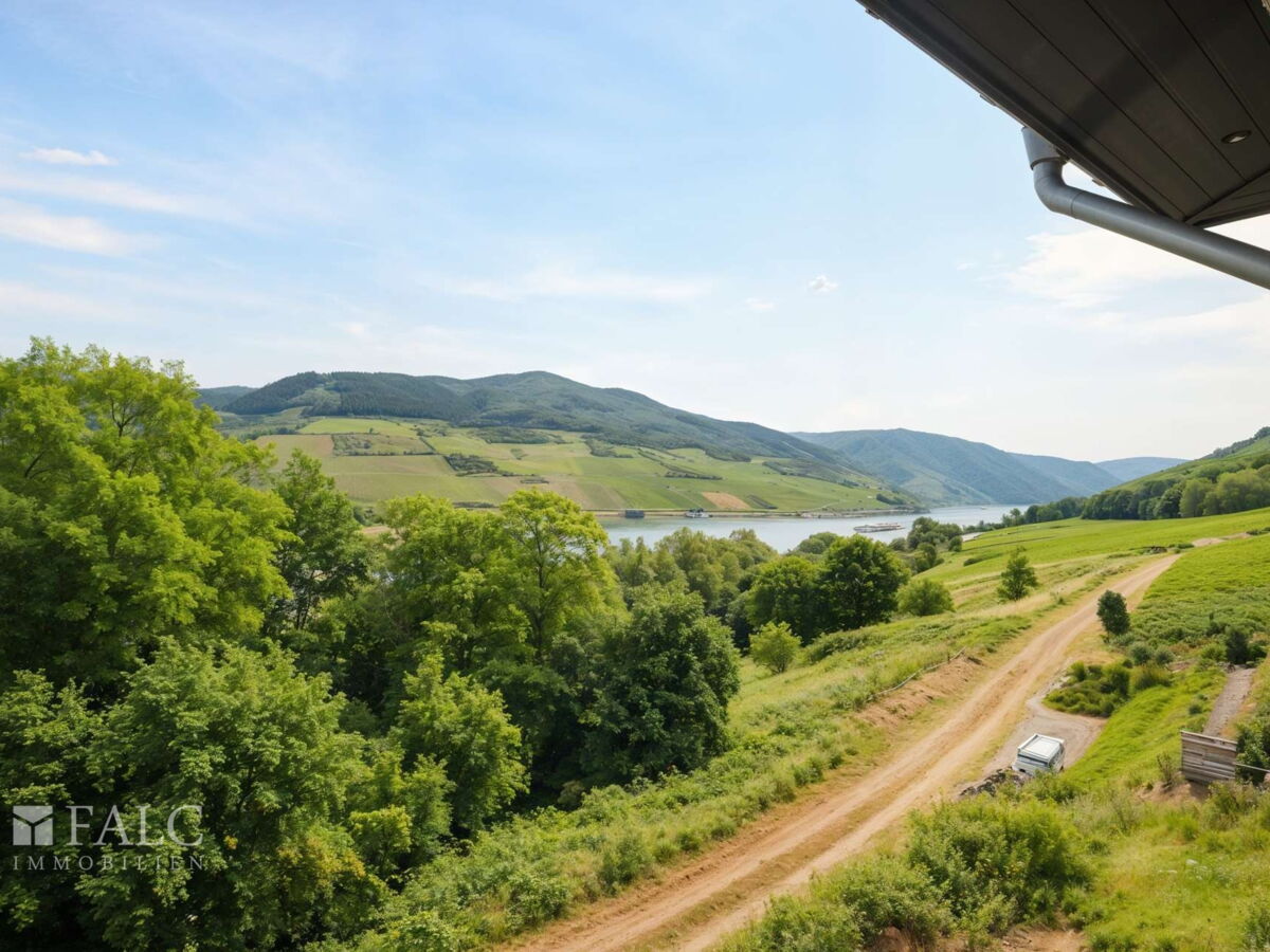 Rheinblick
