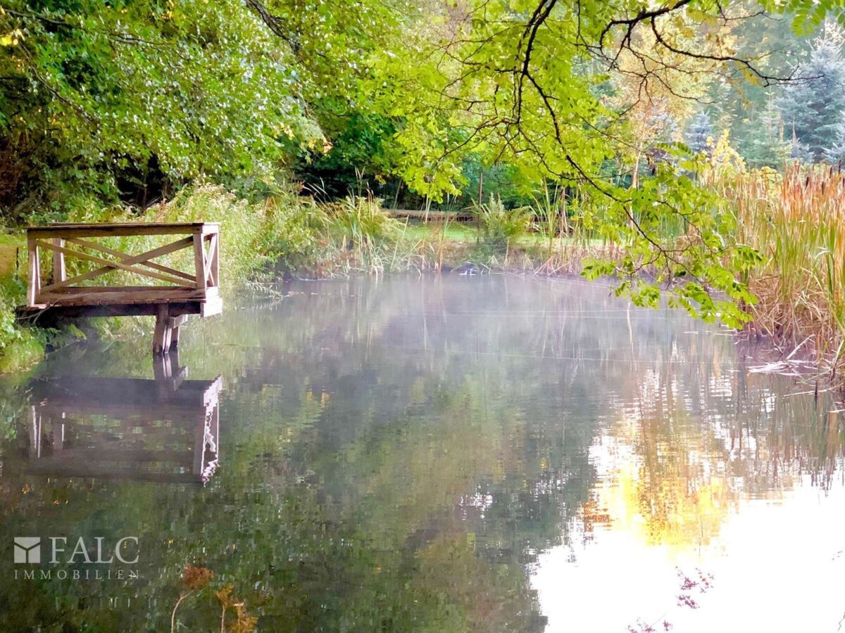 Teich 