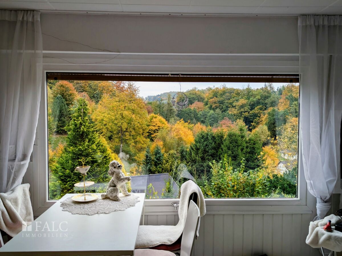 Ausblick
