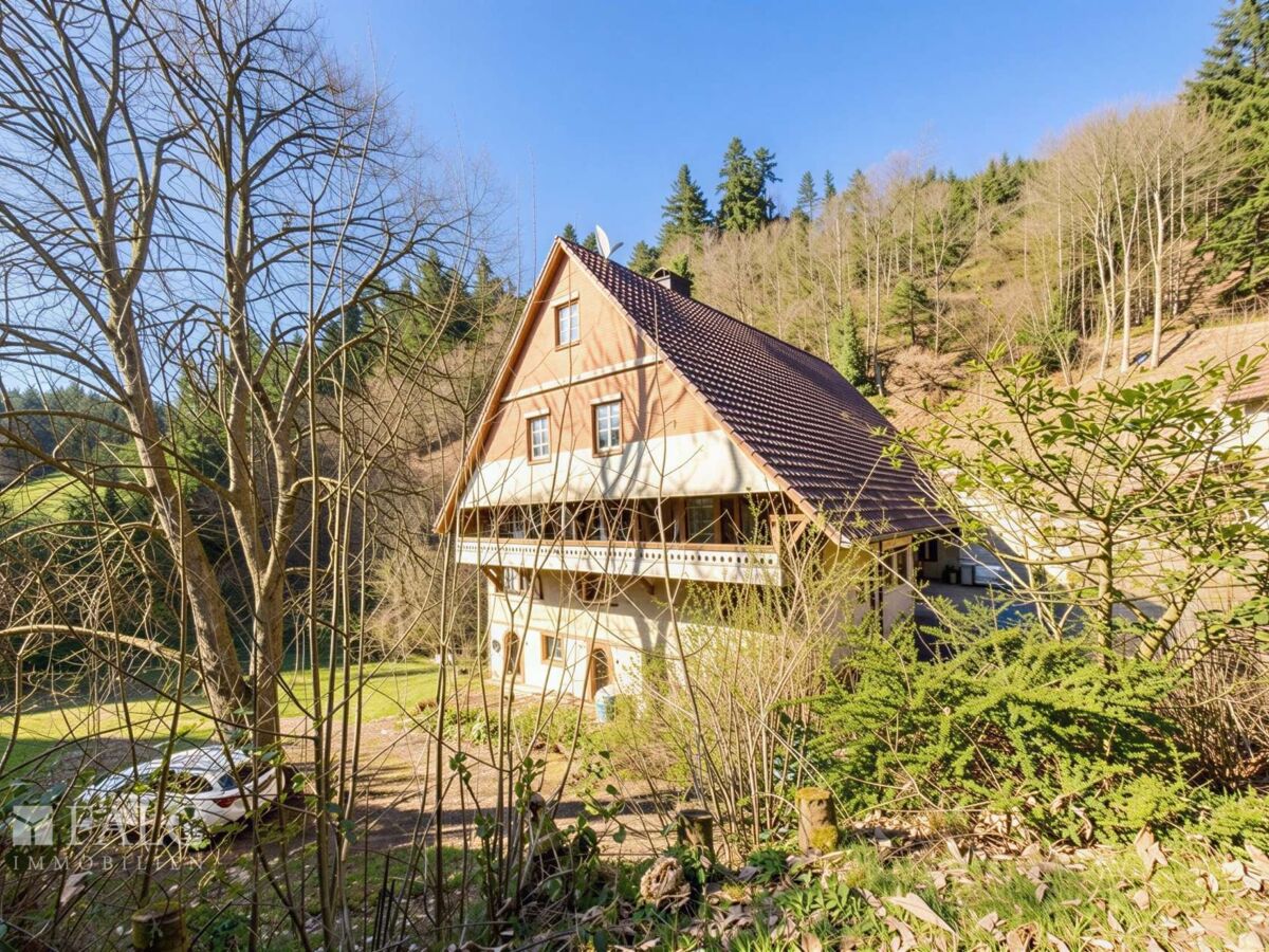 Hausansicht Front 