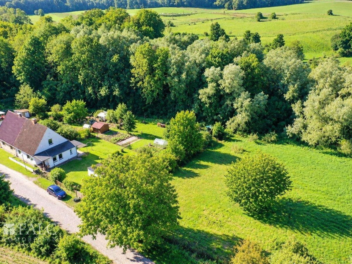 Luftbild