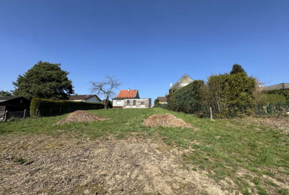 Blick vom hinteren Grundstück