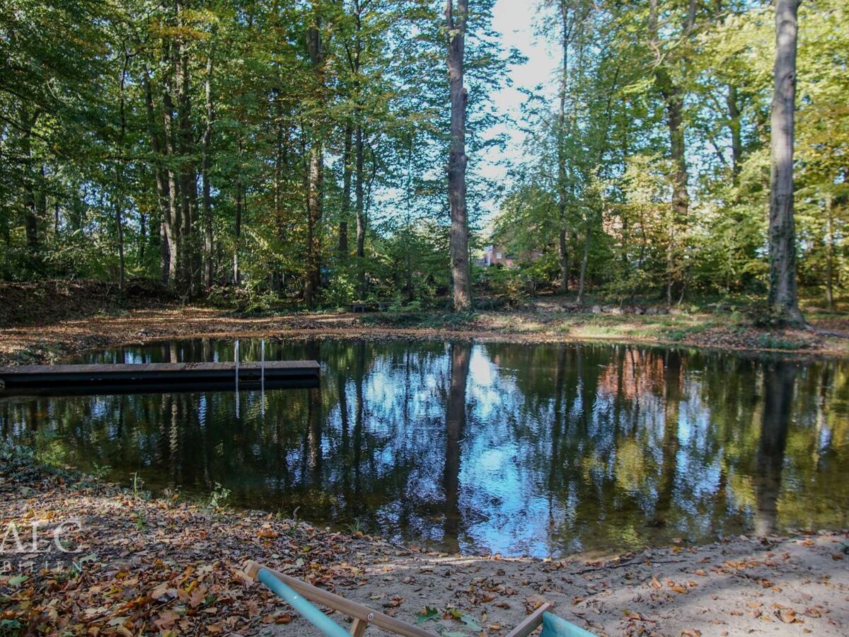 Teich Steg