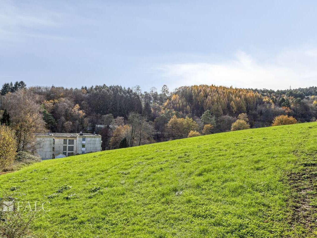 Ausblick