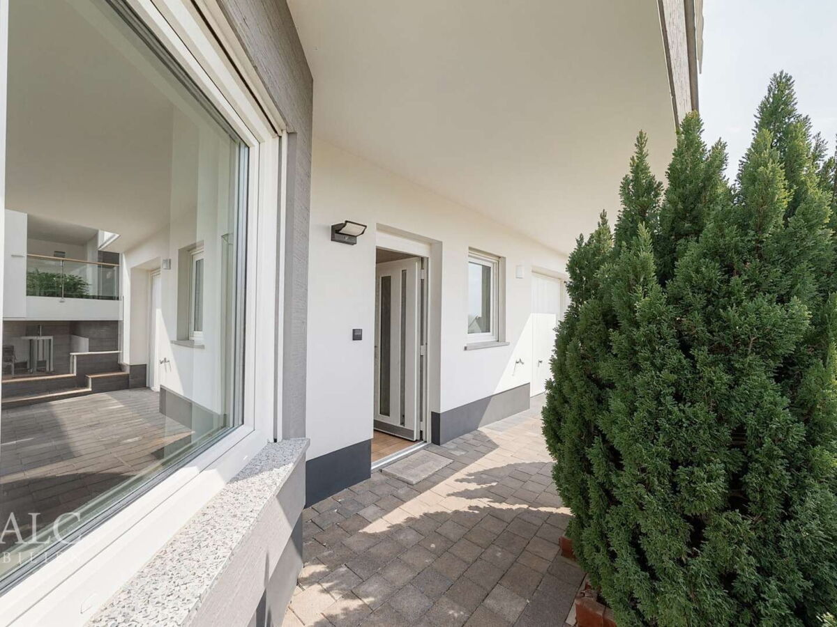 Vorderterrasse 