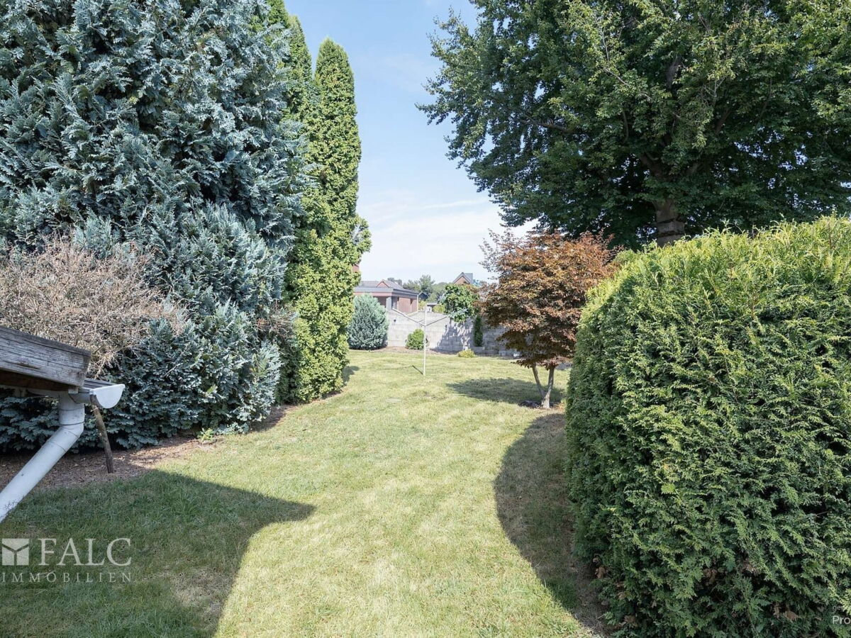 großer, eingewachsener Garten