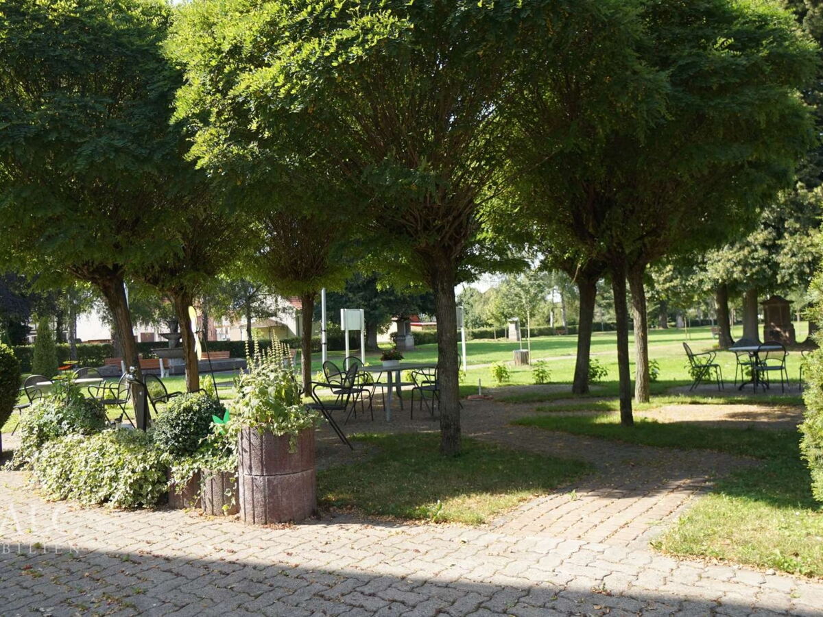 Blick in den Garten