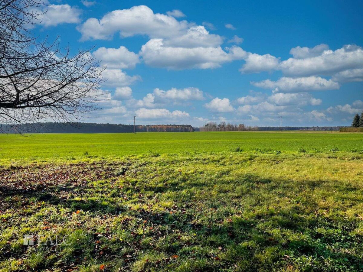 Blick über das Feld