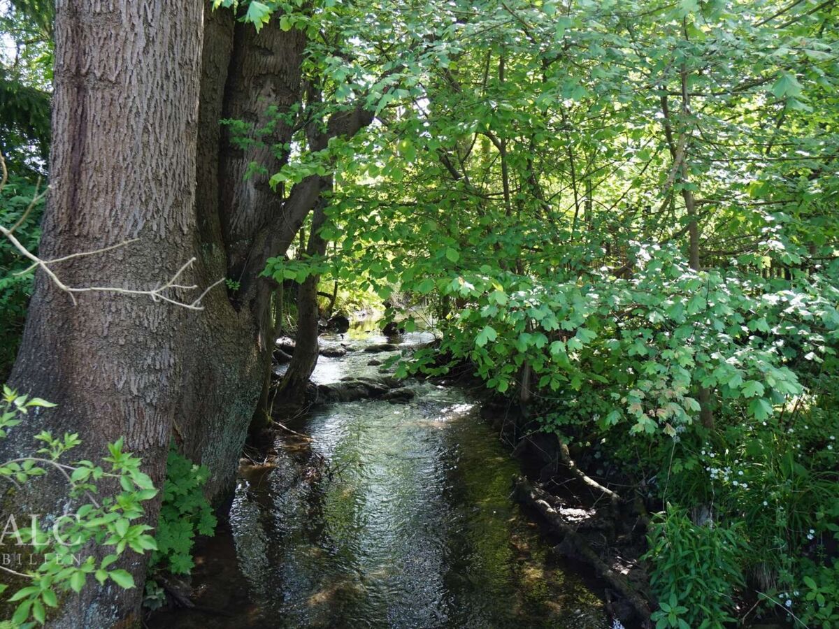 Bachlauf durch das Grundstück