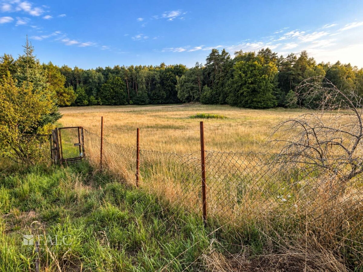 Blick übers Feld zum Wald