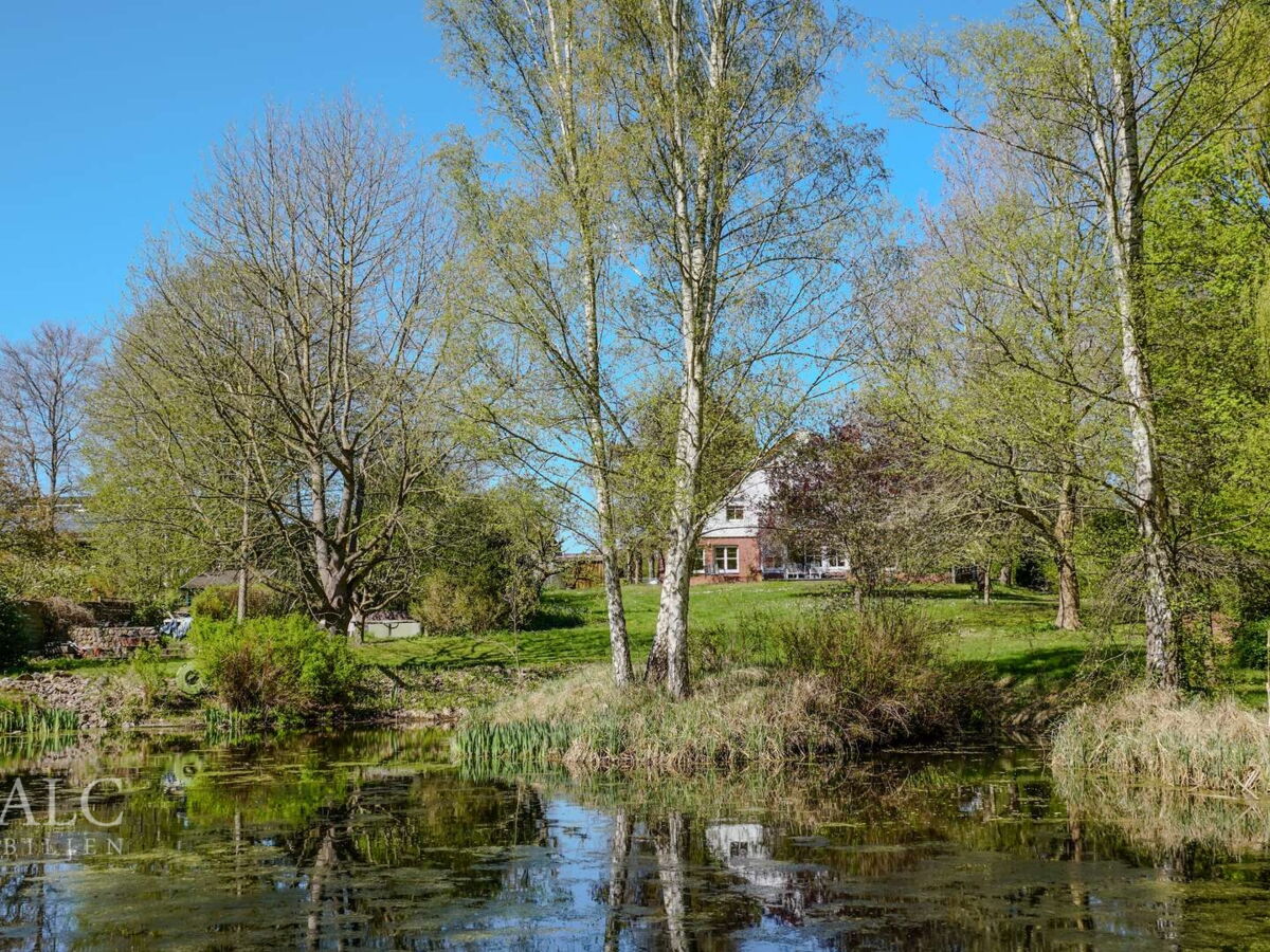 Naturteich mit eigener Insel